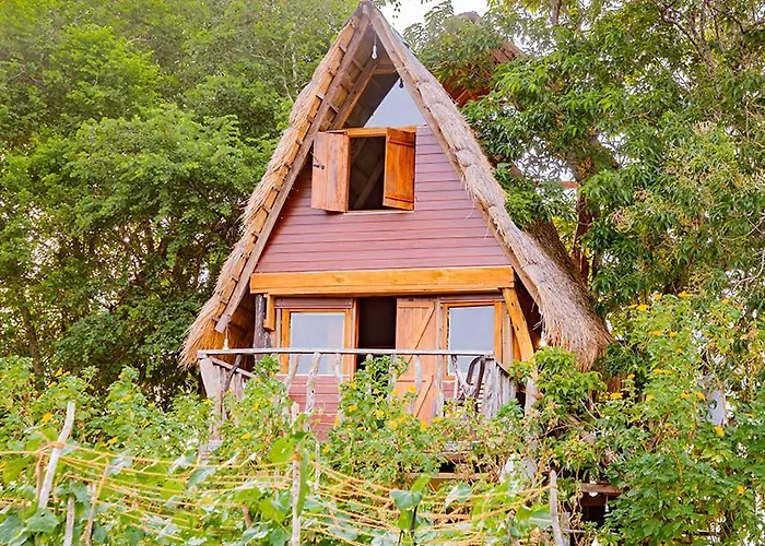Wisdom Camping And Glamping