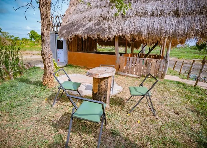 Wisdom Camping And Glamping