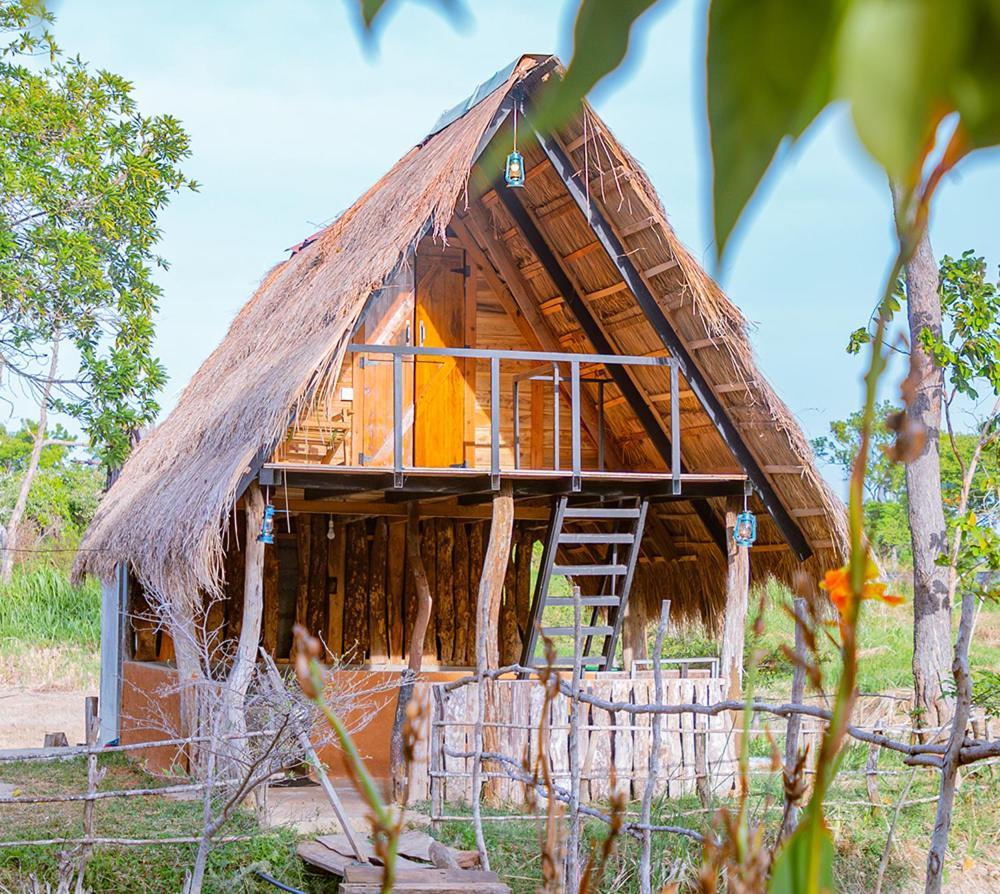 Wisdom And Glamping Campsite