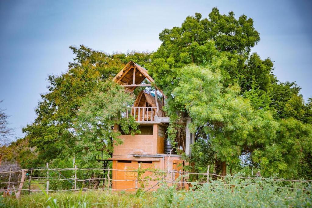 Campsite Wisdom And Glamping *