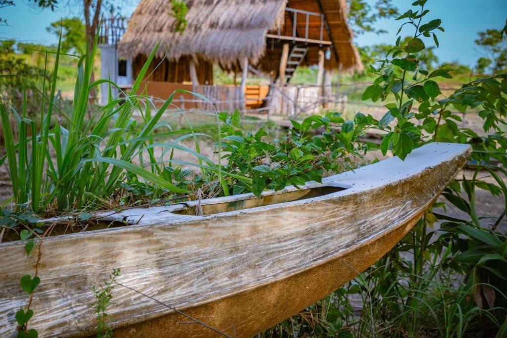 Wisdom And Glamping * Habarana