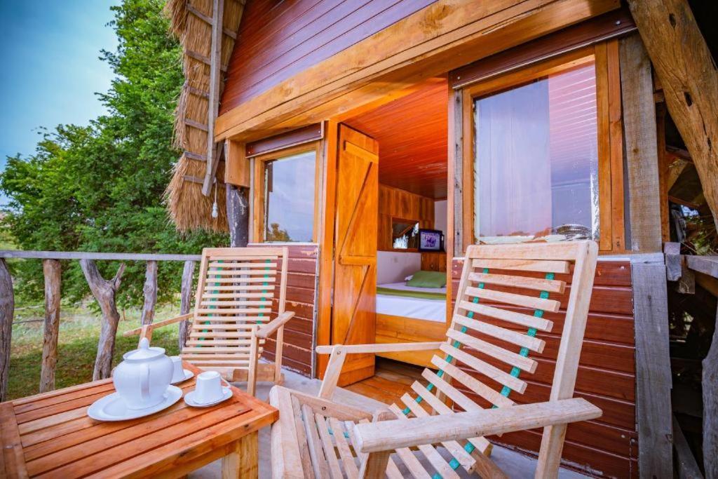 Campsite Wisdom And Glamping