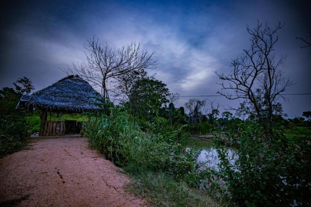 Wisdom And Glamping Campsite *