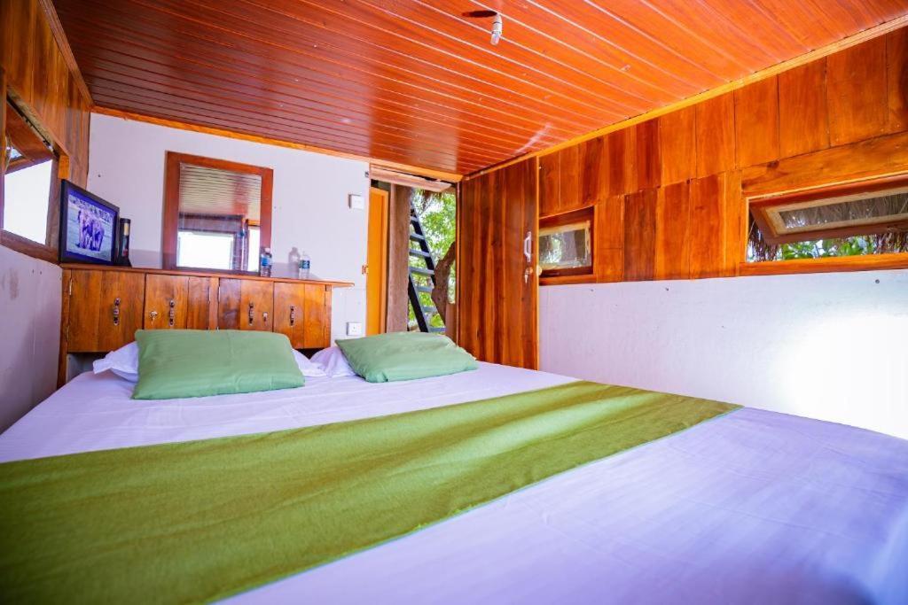 Campsite Wisdom And Glamping Habarana