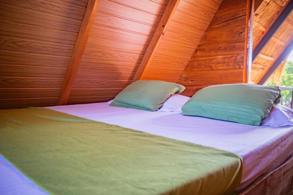 Wisdom And Glamping