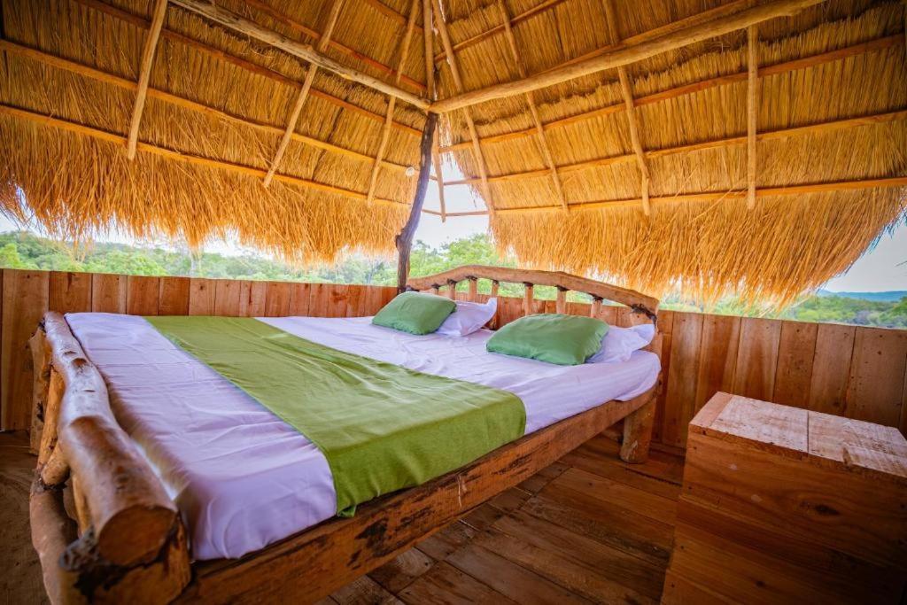 Wisdom And Glamping Campsite