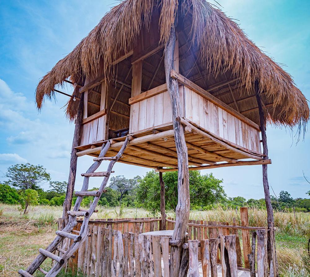 Wisdom And Glamping Campsite *